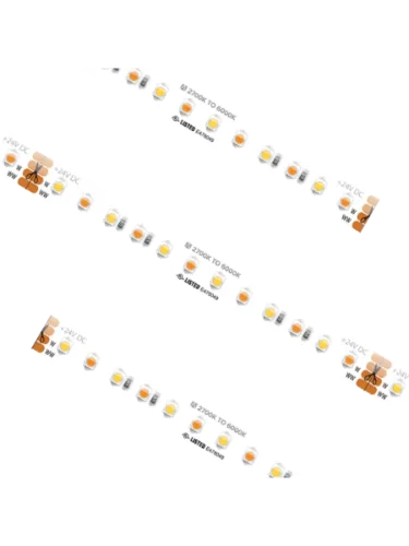 american-lighting_htl-tw_1