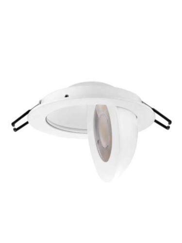 arani_slfl4-var-r-wh-v3