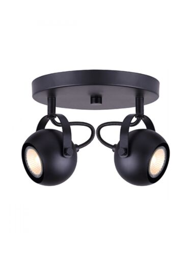 canarm_icw743a02bk10