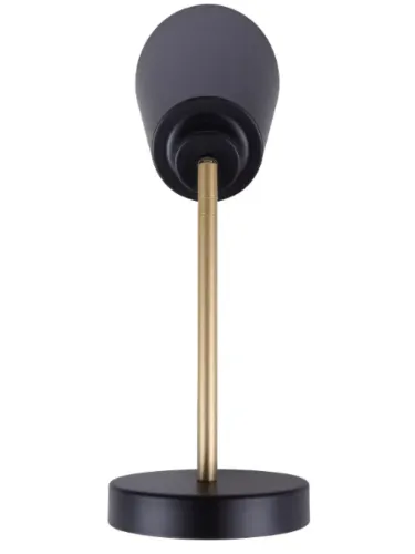 canarm_ivl1178a01bkg_11