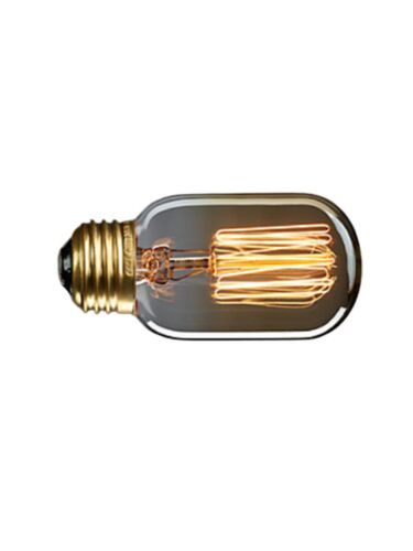cwi-lighting_t45-sc13-edison-bulb