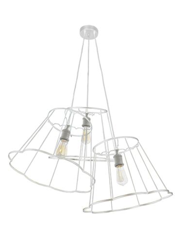 dainolite-bko-multi-wh