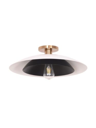 dainolite_pim-171sf-mw-mb_1