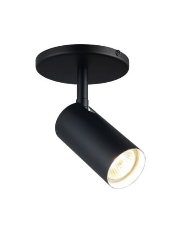 dainolite_sty-71spt-mb