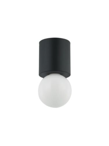 dainolite_trn-51fh-mb