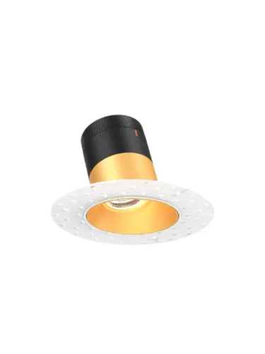 dals-lighting_rc03-cc-20-slgd-tl_1