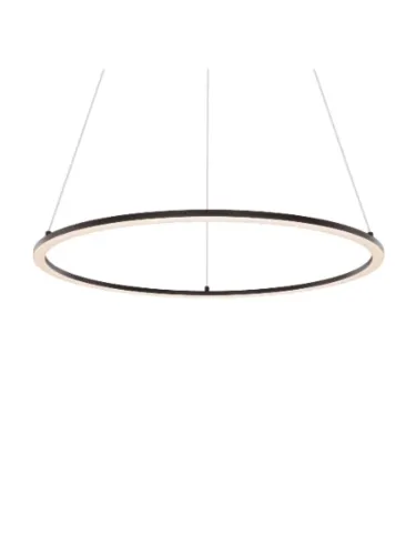 dals-lighting_rgpd24-cc-bk_1