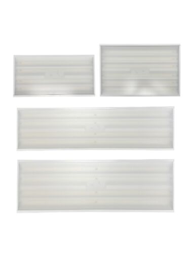 eel-lighting_phb-2-7624