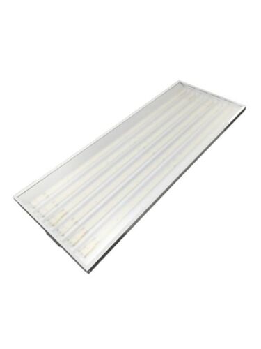 eel-lighting_phb-4ft-4-220