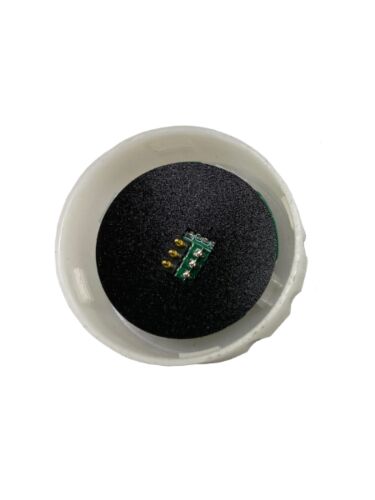 eel-lighting_smf2025