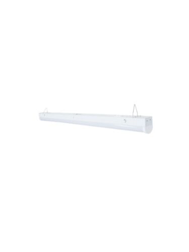 eelighting_slo-4-3552