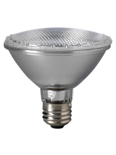 eiko_60par30-h-sp-120v