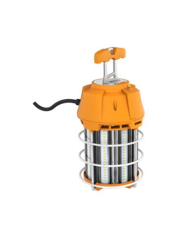 eiko_led100wtmp50k-g8