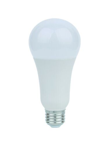 eiko_led19wa21-omn-840-g8