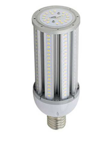 eiko_led54wpt40kmog-347v-g7