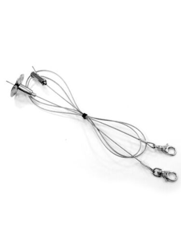 illuminex_l2850-0003