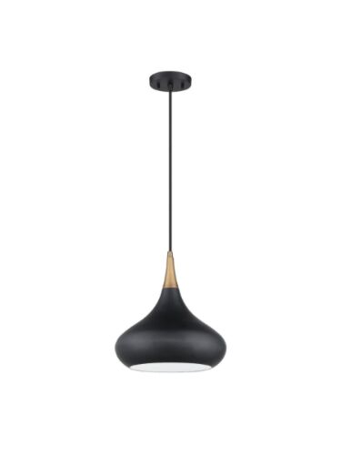 kendal-lighting_pf138-blk-brs_1