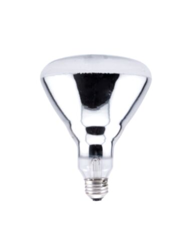 ledvance_250br40-1-120v_1