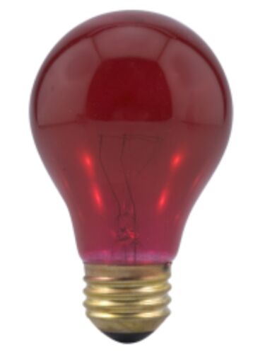 ledvance_25a19-tr-rp-125v