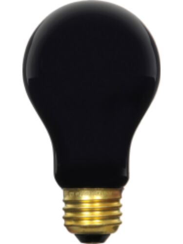 ledvance_60a-blacklight-rp-120v