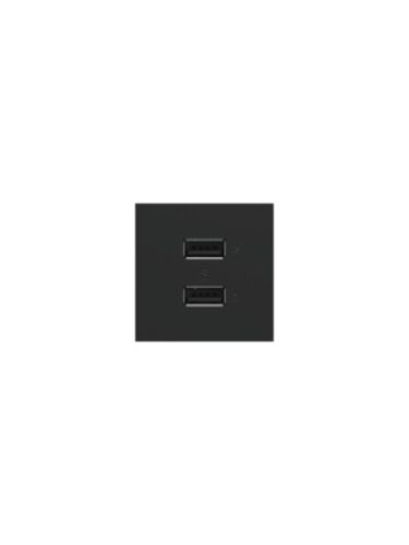 legrand_arusb2aa6g4_2