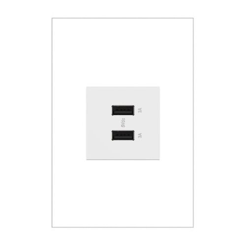 legrand_arusb2aa6w4_1