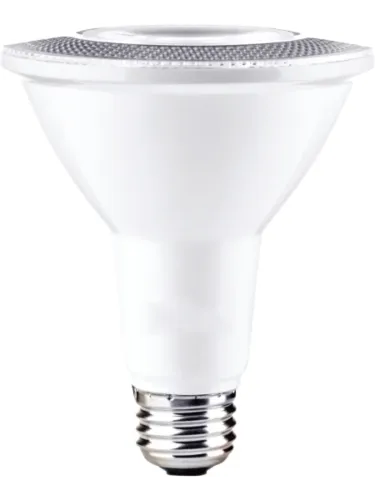 maxim-lighting_bl10par30ft120v30
