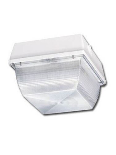 naturaled_led-fxscm59-50k-wh