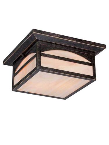 Plafonnier Extérieur Nuvo Lighting 60-5656 2-Lumières Série Canyon Bronze