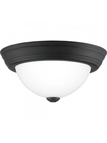 quoizel-lighting_erw1611mbk