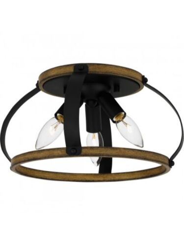 quoizel-lighting_qfl5638mbk