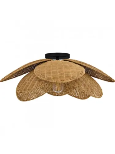 quoizel-lighting_wll1722mbk_1