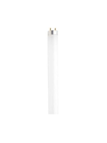 satco_s4574