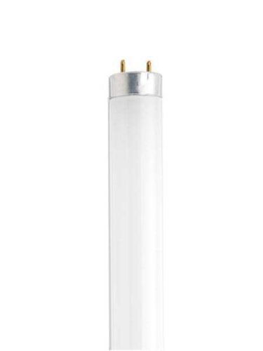 satco_s6515