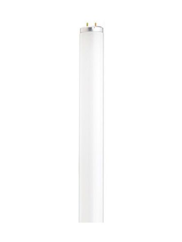 satco_s6560