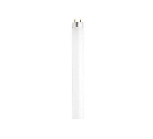 satco_s6876
