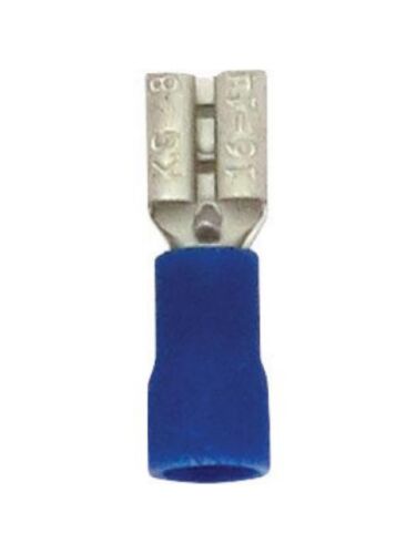 techspan_561387