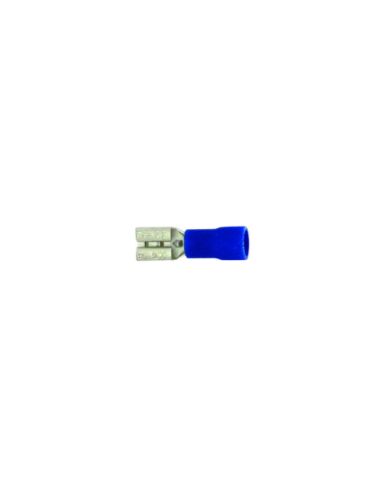 techspan_561387d