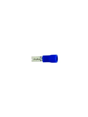 techspan_561397d