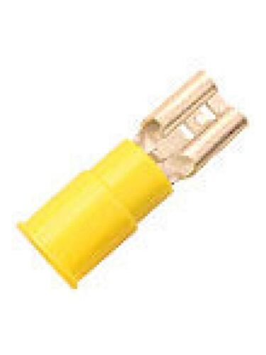 techspan_fr4c250