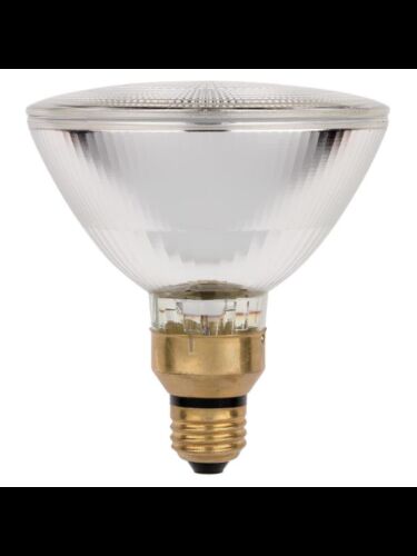 westinghouse_3683900