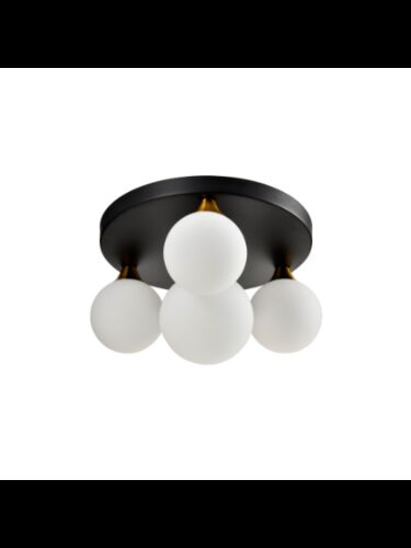 young-lighting_1371fm4