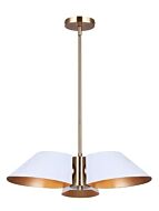 canarm_ich1146a03whg_1