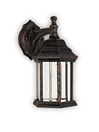 Canarm Outdoor 1 Light Antique Black Gold Wall Light IOL4 ABG (fixturewshade)