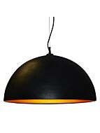 dainolite_114-313p-bk-gld