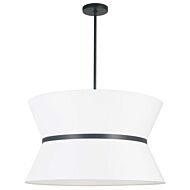 dainolite_ctn-244c-mb-790_1