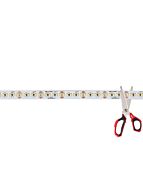 dainolite_cutled-14430