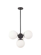 dainolite_day-214p-mb