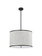 dainolite_prd-243p-mb