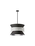 dainolite_qua-244p-bk-gry